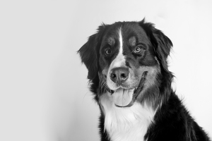 Fundraising Page: Vinny Sharp